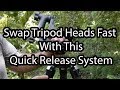 Swap Tripod Heads The Fast Way!