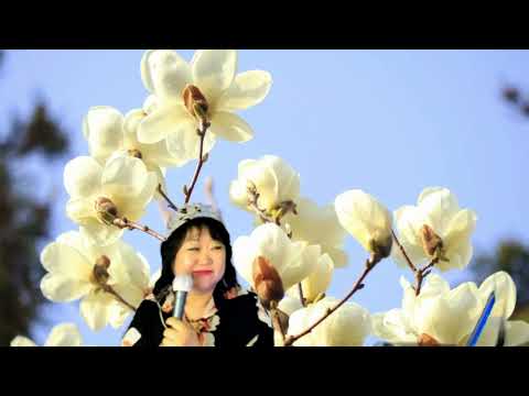 가수옥이#여자는 왜 (원곡가수#강현순) #신탄진가요제 2022년지정곡