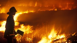 Research suggests flaw in forest fire plan