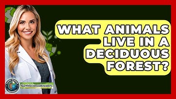 What Animals Live In A Deciduous Forest? - Earth Science Answers