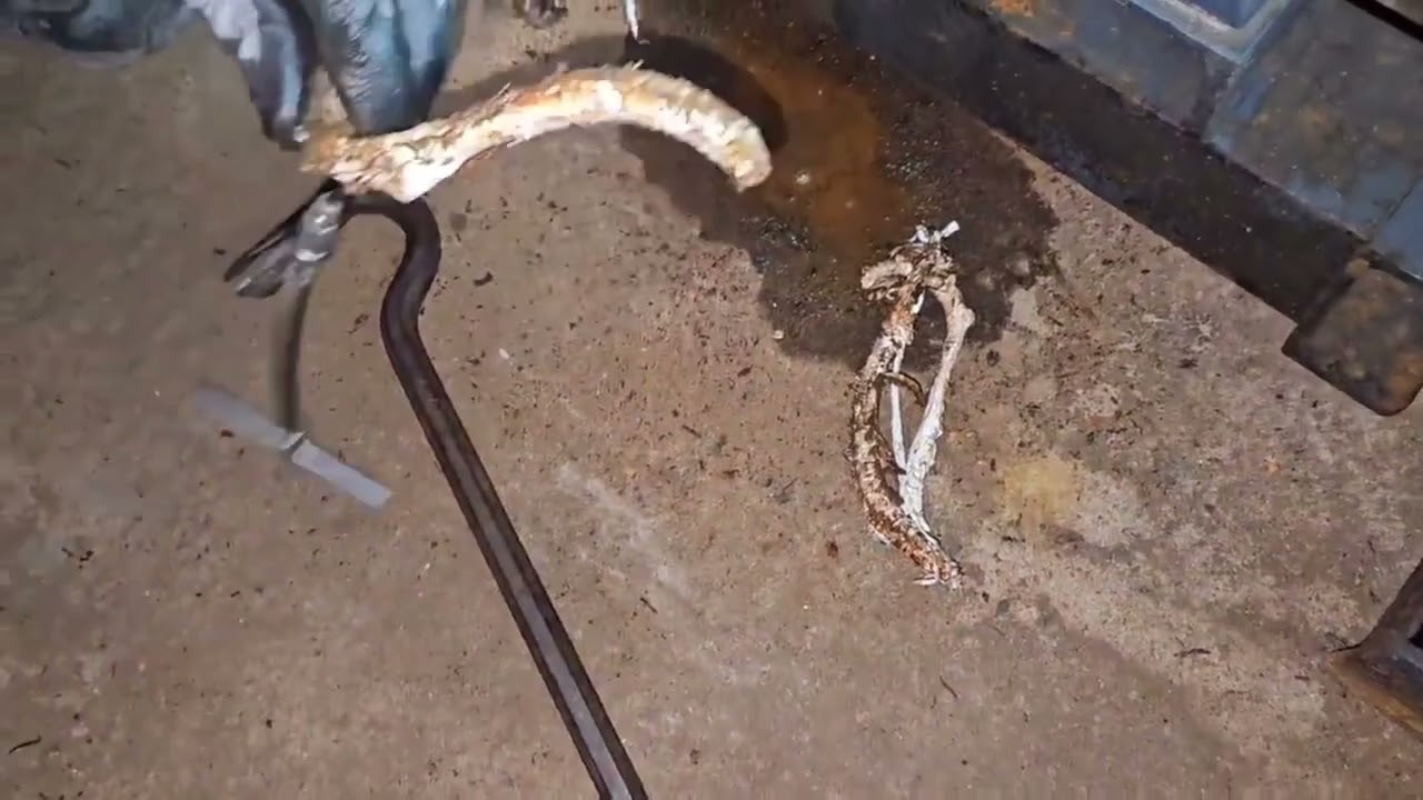 그랜드 패킹 교체