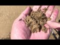 Beach Metal, Detecting, and waves ￼