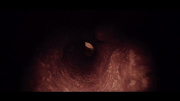 GROUNDHOG VISITS - GH5 Color Grade & Day to Night with Davinci Resolve