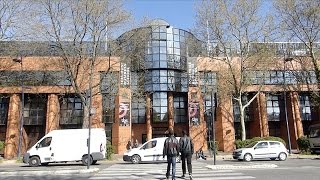 Toulouse business school : 2017, une ...