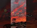 الو عمري كي صرالك شـــــاشة سوداء تصميم فيديوهات RAY الشعب الصيني ماله حل الو عمري كي صرالك شـــــاشة سوداء تصميم فيديوهات RAY الشعب الصيني ماله حل