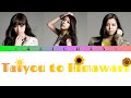 Flower : 太陽と向日葵 / Taiyou to Himawari Lyrics