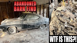 First Wash In 30 Years: ABANDONED Barn Find Buick Skylark Disaster Detail! | Satisfying Restoration screenshot 4