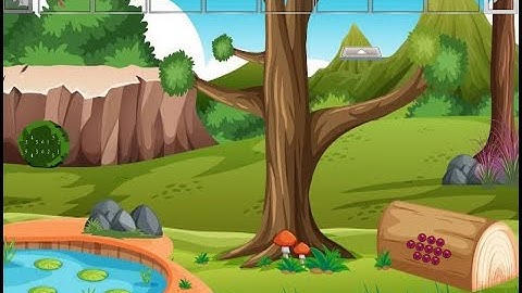 Rescue Forest Black Cat Video Walkthrough