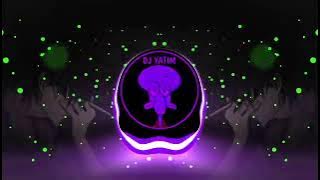 DJ yank haus tiktok remix reylan fvnky 2024