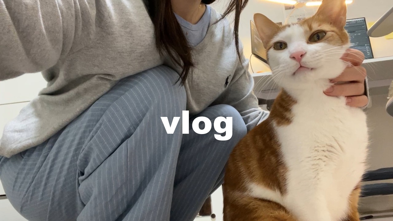 드디어 최종합격..💥 출근 전 일상 브이로그 | 출근룩 쇼핑과 OOTD, 한강뷰 카페 | 건강검진 (나말고 고양이)