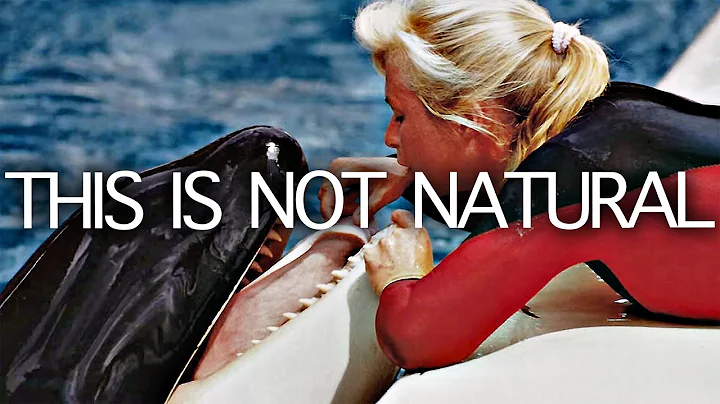 Trapped for Profit: The Dirty Marine Parks Business | Seed Documentary