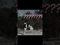 Есть такое идея с ТТ Straykids скизик Kpop Skz Tiktok Han Hanjisung Fyp Stay Есть такое идея с ТТ Straykids скизик Kpop Skz Tiktok Han Hanjisung Fyp Stay