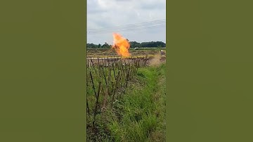 heboh di bojonegoro, fenomena alam bumi terbakar hebohkan satu indonesia