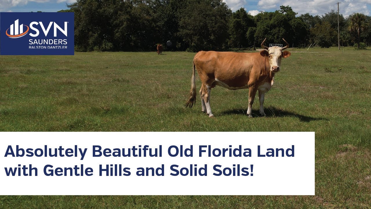 Lake Hatchineha Road Residential 335 ± AC Ranch Development Land