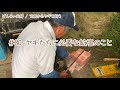 【76歳ヤギ飼い#47】ヤギたちに大切な鉱塩のこと「72歳からの楽しいシニアライフ#80」