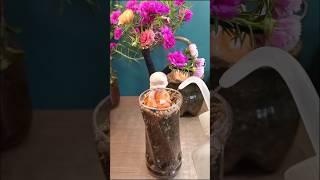 🌸 You Won't Believe This Moss Rose Bonsai! #Shorts | Unique Plant Shape #Shorts
