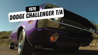 Player Profile 1970 Dodge Challenger T/A in Plum Crazy at Scottsdale Auction