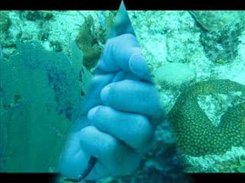 club bucanero scuba dive center part1