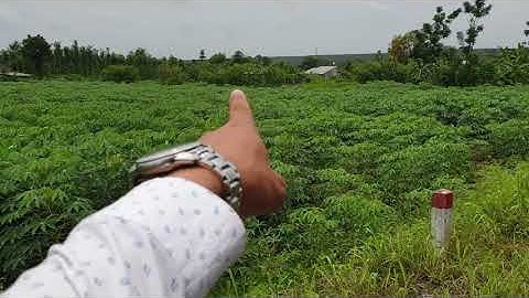 NVT980 Bán lô đất TUYỆT ĐẸP xã Đá Bạc, Châu Đức gần Vingroup, chiều ngang tới 90m2