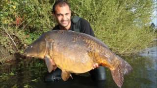 peche de la carpe :peche exceptionnelle sur un lac public  (25 poissons de +15 kg en 48 heures) screenshot 4