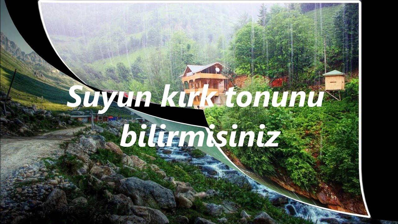 Çay'ın Başkenti,Yağmurun Şehri Rize'ye Hoş Geldiniz!