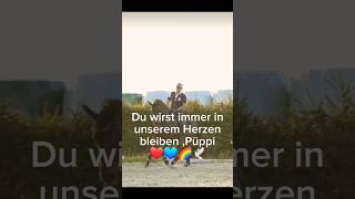 Ürpüppi Wir Vergessen Dich Nie Püppi