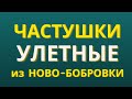 Частушки смешные от Екатерины Степановны решают проблемы с настроением Гармонист Владимир Кузнецов
