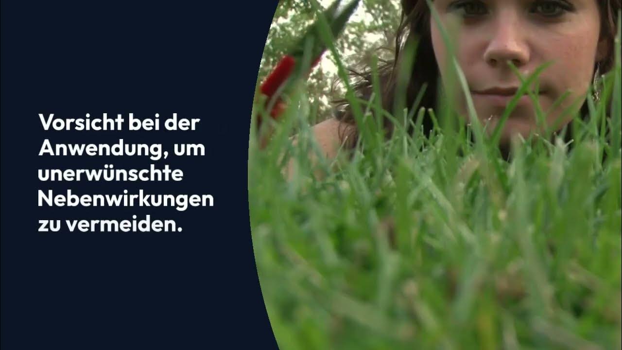 Herbstrasendünger Test 2023 die besten 7 im Vergleich [+Kaufberatung
