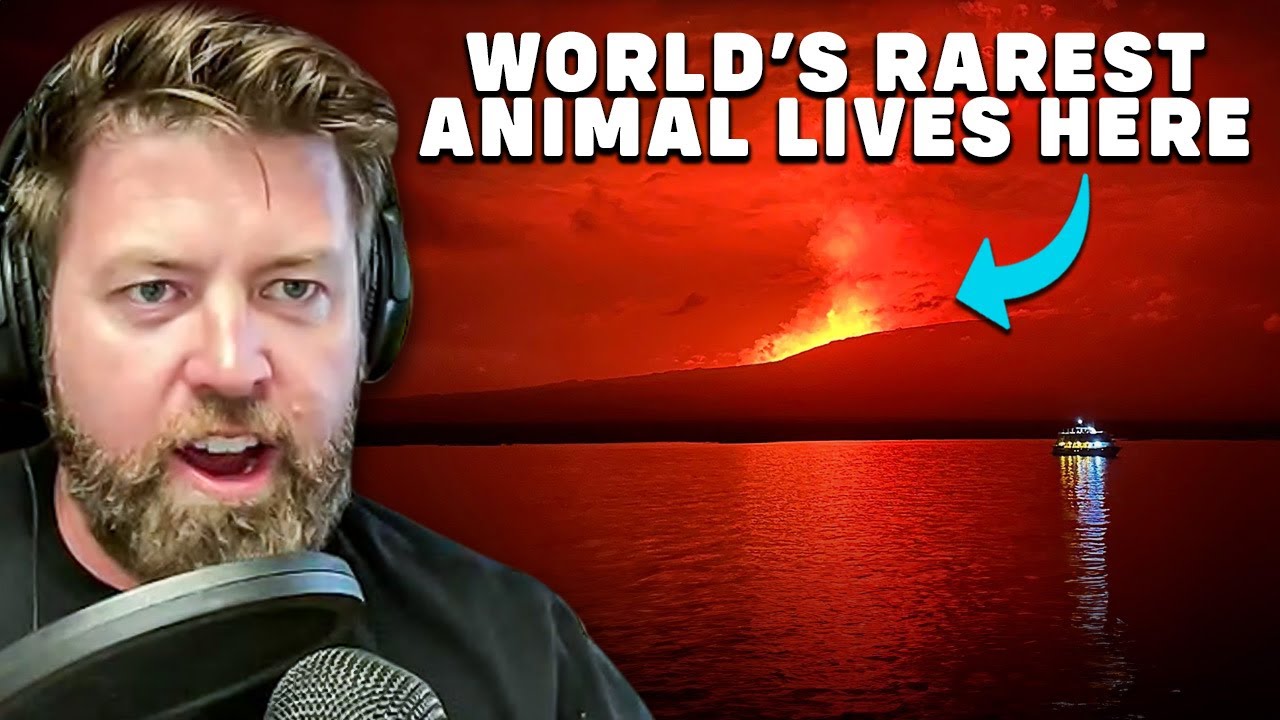 Fernandina Island Volcano Erupts in Galapagos