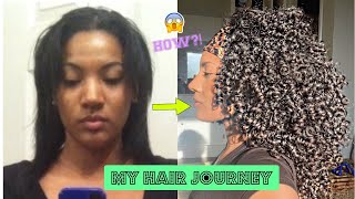 MY NATURAL HAIR JOURNEY 2020 (w/pictures) | HEAT DAMAGED TO HEALTHY HAIR | Pgeeeeee