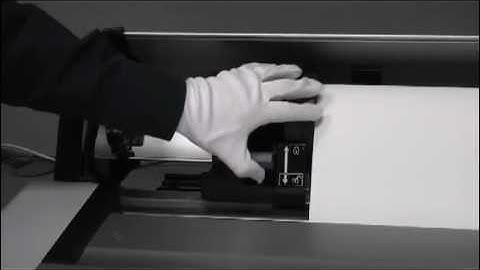 Epson 7900 Media Loading