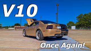 Mustang V10 - De Retour Sur La Route