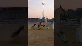 #nsca #omoksee #horse #rodeo #westernmedia #western #westernriding #aqha #youtubeshorts #subscribe