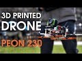 3D Printed Racing Drone - PEON 230 (under $150) 3D Printed Racing Drone - PEON 230 (under $150)