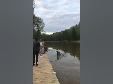 Палка в дугу - YouTube