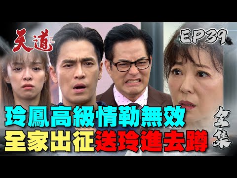 天道 EP39 完整版｜送玲進去蹲｜FIGHT FOR JUSTICE｜【365 PLUS燃魔女膠囊】