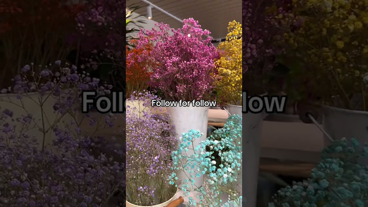 Vibrant flower arrangements for home decor