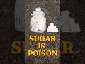 SUGAR IS SLOW POISON #diabetes #healthyeatingmadeeasy #insulinresistance #food