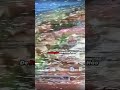 O Hezbollah vai acabar com as forças israelenses com esse ponto fraco dos tanques?