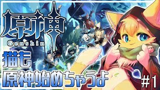 【#原神】右も左もわからない！原神の世界にへそ猫やってきました🐱✨#1【#vtuber 】#ケモノvtuber