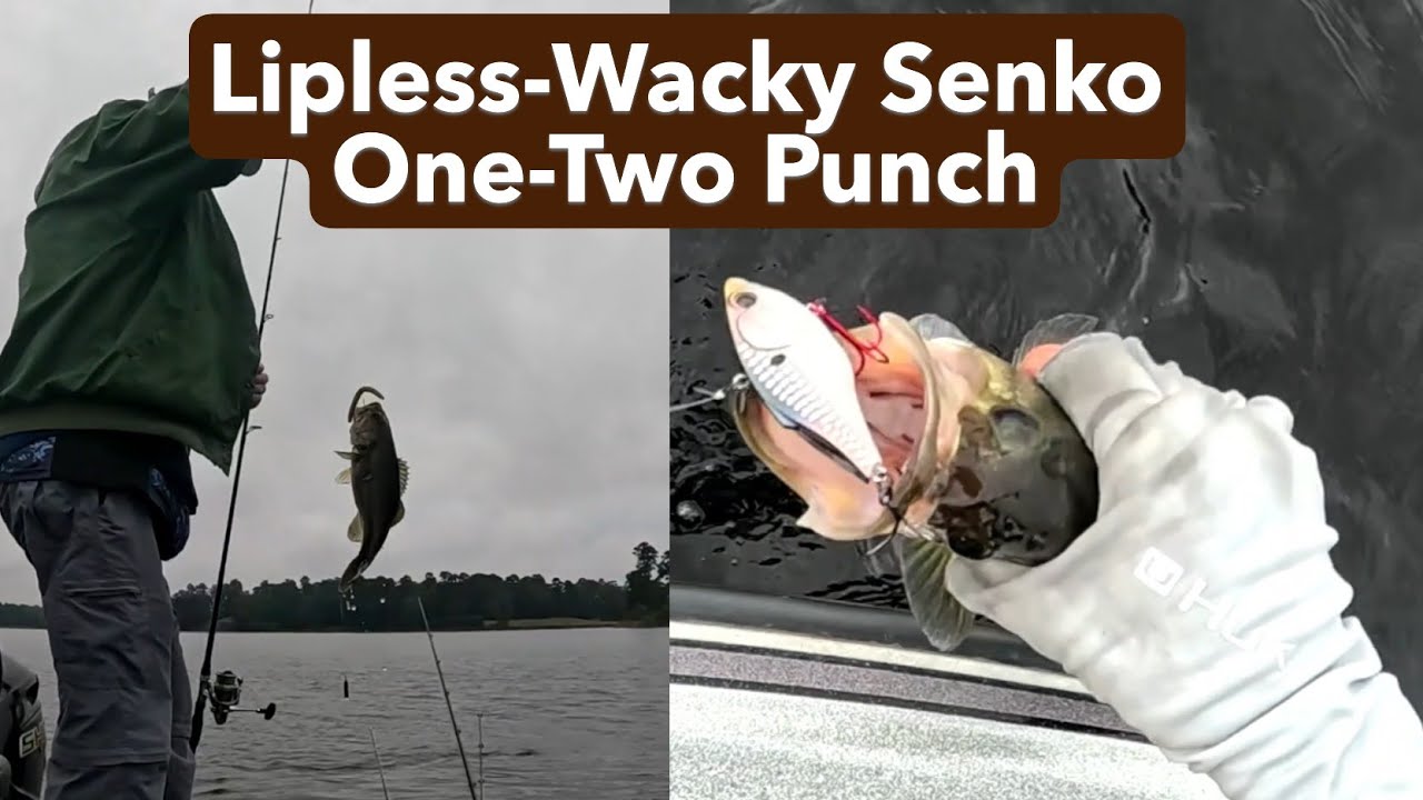 Bass Fishing 202 Lesson-75: Lipless-Wacky Senko One-Two Punch