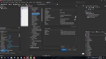 $(ProductVersion) Environment Variable - Delphi #129