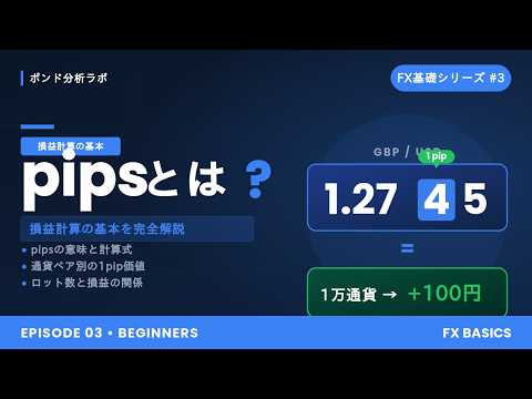 1pipsで何円儲かる？知らないと損する損益計算の真実【FX基礎 #3】