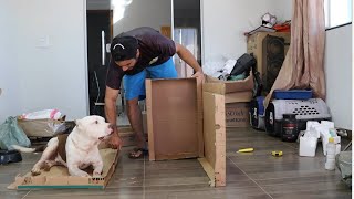 CASINHA DE CACHORRO MEGA IMPROVISADA -Cães Brasil