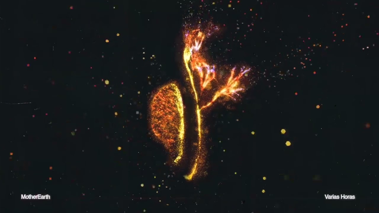 ⁣MotherEarth - Varias Horas (Visualizer) [Helix Records]