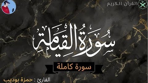 😍👌💖💖😍سورة القيامة كاملة  تلاوة ستجعلك تبكي من خشوعها  بصوت القارئ حمزة بوديب | surat Al-Qiyamah