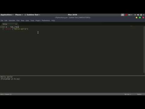 Setting Sublime Text to build Python program