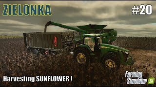 Harvesting SUNFLOWER | #20 ZIELONKA | Farming Simulator 25 | PlayStation 5