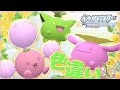 【ポケモンBDSP】饅頭だってふわふわしたい　色違いハネッコ族が欲しい!!【ゆっくり実況】
