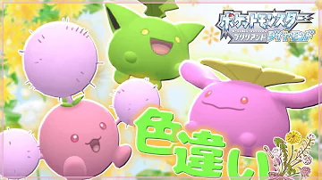 ポケモンbdsp 半年フライングで虫捕りに行く饅頭ども 色違いバルビートとイルミーゼが欲しい ゆっくり実況 Mp3